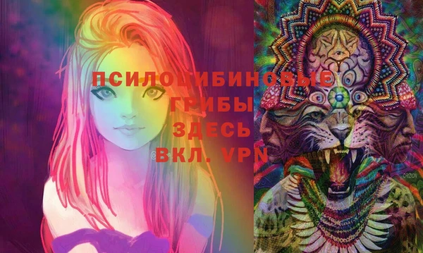 мдма Рославль