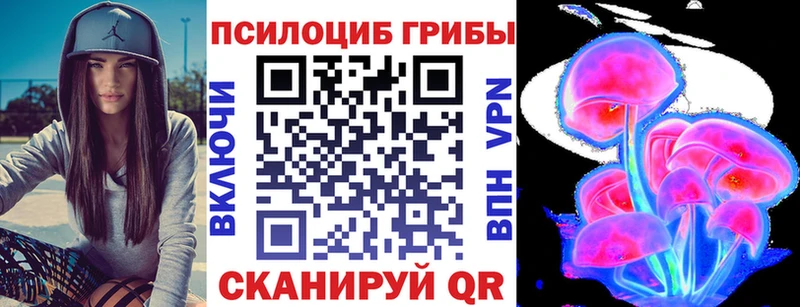 Галлюциногенные грибы Cubensis  Купить где  Чердынь 